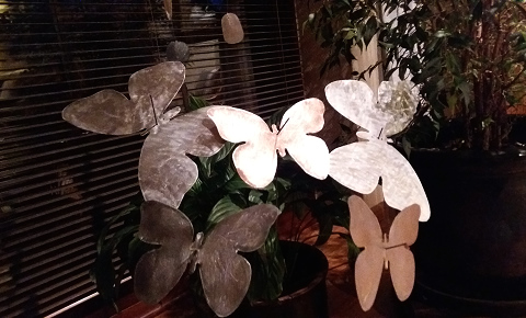 Schmetterlinge